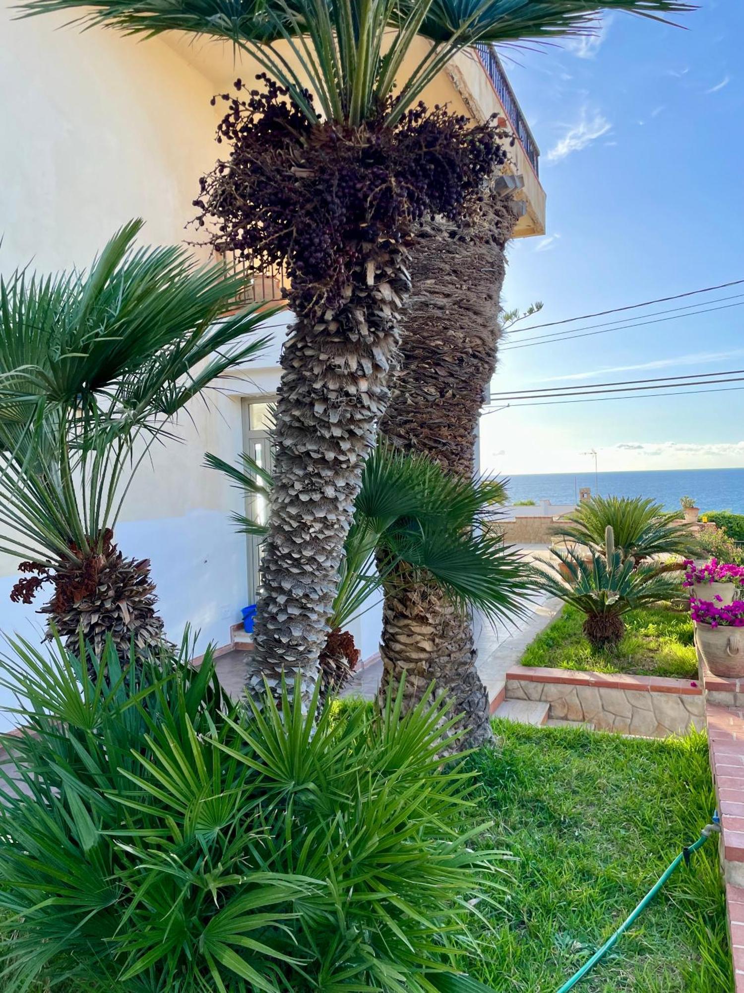 Villa Sul Mare Palazzolo Trappeto  Eksteriør bilde