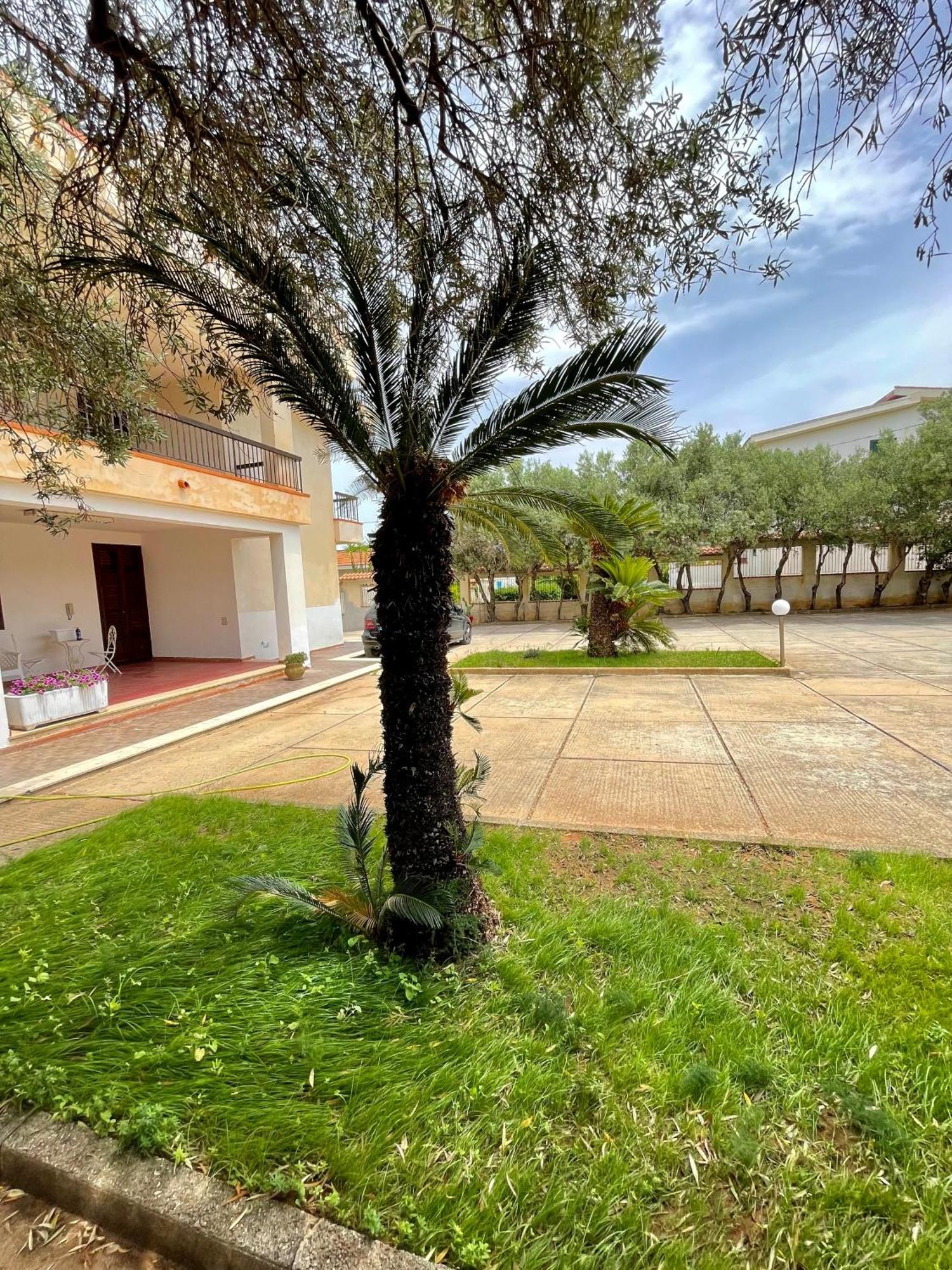 Villa Sul Mare Palazzolo Trappeto  Eksteriør bilde