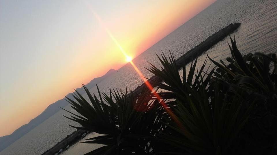 Villa Sul Mare Palazzolo Trappeto  Eksteriør bilde